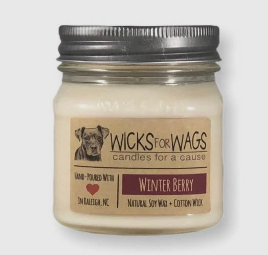 Wicks for Wags Candles - Multiple Scents!