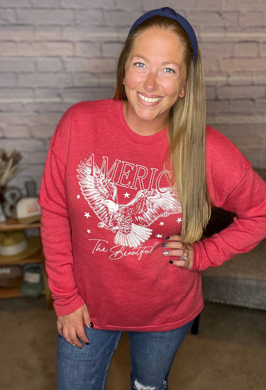 America the Beautiful Graphic Sweatshirt by Oat Collective